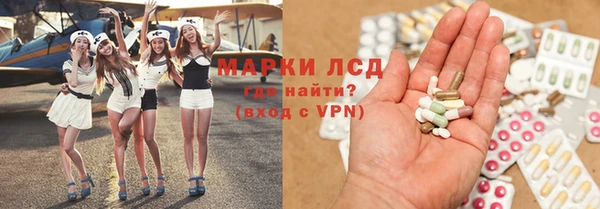 прущие грибы Ростов